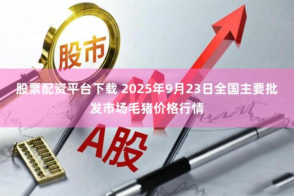 股票配资平台下载 2025年9月23日全国主要批发市场毛猪价格行情