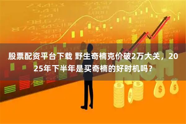 股票配资平台下载 野生奇楠克价破2万大关，2025年下半年是买奇楠的好时机吗？